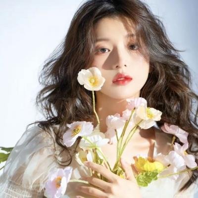战鸽总动员